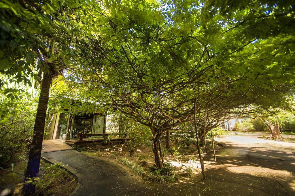 Bupitanga Hotel Praia de Pipa Εξωτερικό φωτογραφία